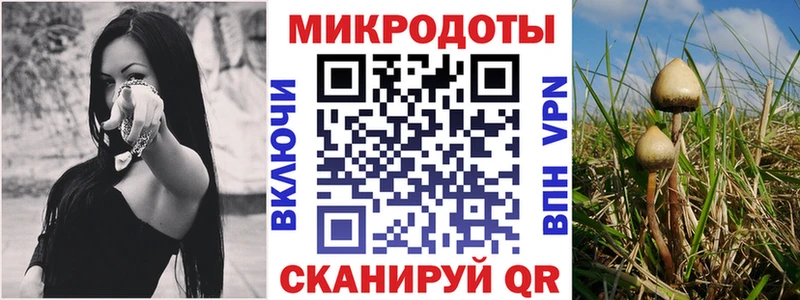 гидра ссылки  Ардон  Галлюциногенные грибы мухоморы 